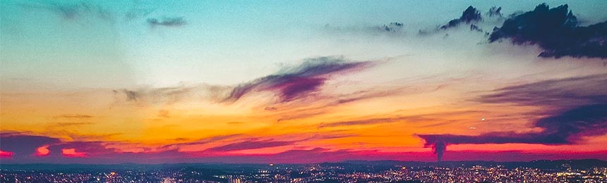 和田茶虫网_和田品茶